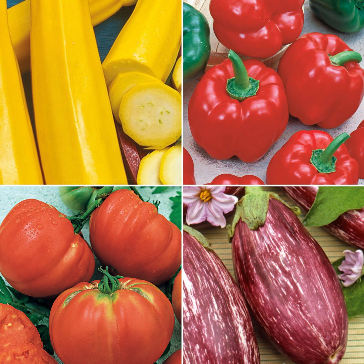 Collection de légumes du soleil - Willemse