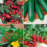 Collection de légumes pour balcon - Willemse