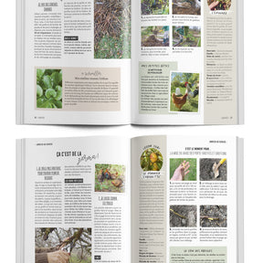 Les leçons de permaculture de Zeprofdortie -  - Willemse