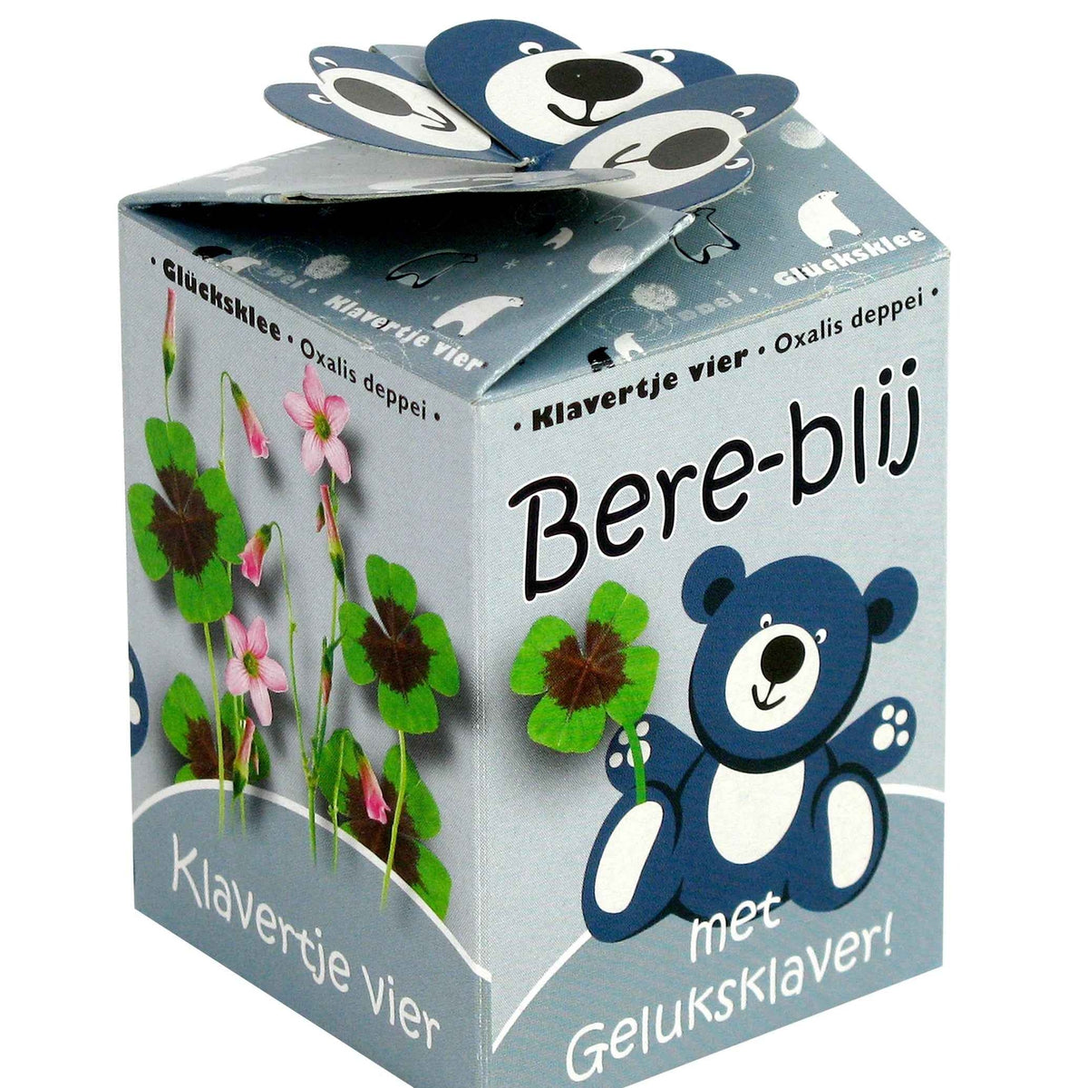 Kit Trèfle à 4 feuilles Happy Bear bleu - Oxalis deppei - Potager