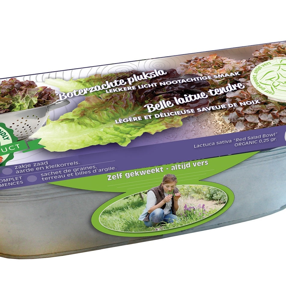 Graines de Laitues Red Salad Bow et jardinière zinc Bio - Willemse