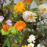 Graines de fleurs et herbes comestibles en mélange - 2 m² - Willemse