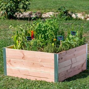 Carré potager en bois Douglas - Plantes