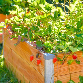  - Carré potager en bois Douglas - Carrés potager