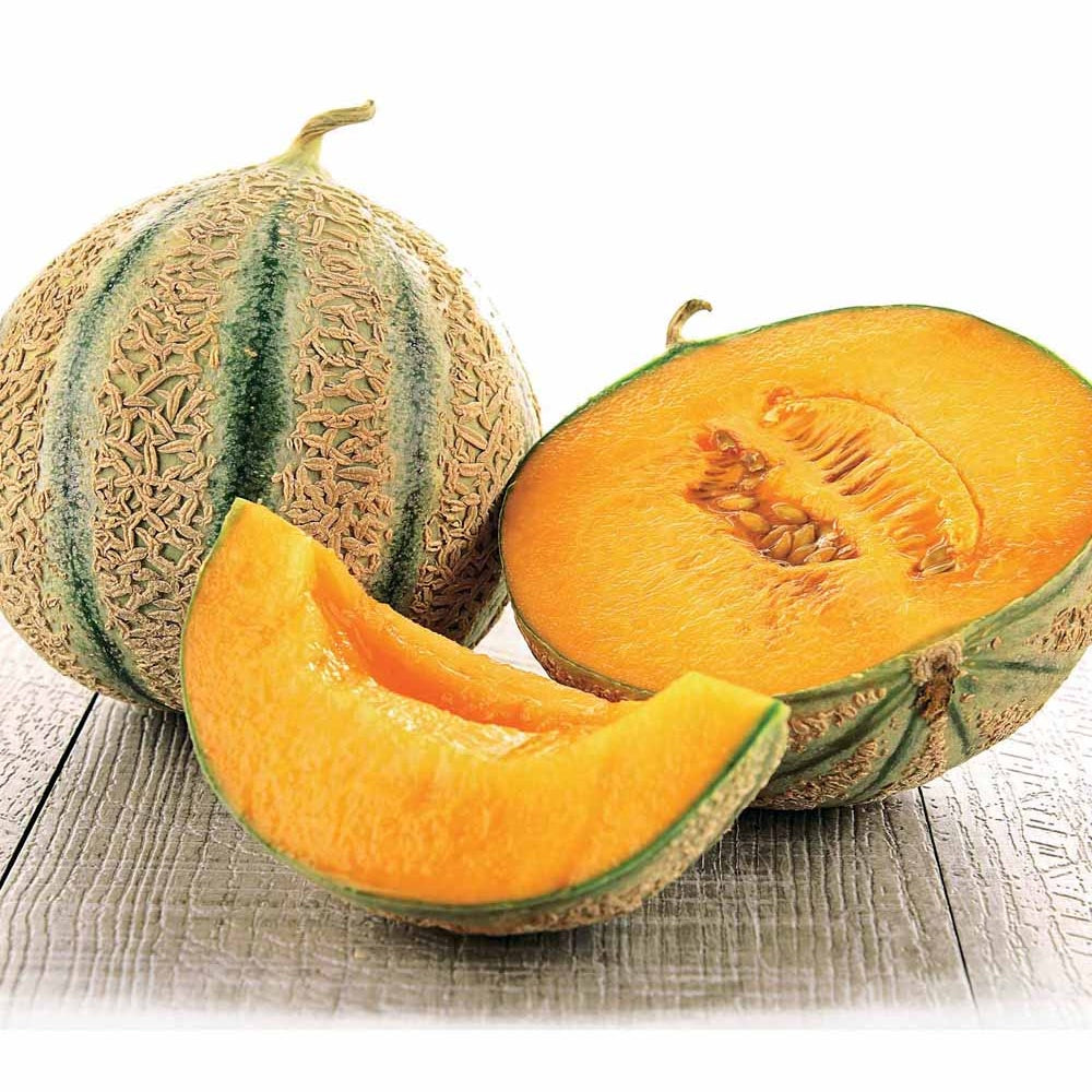 Melon Stellio F1 - Cucumis melo stellio f1 - Potager