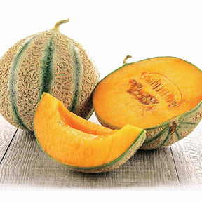 Melon Stellio F1 - Cucumis melo stellio f1 - Willemse