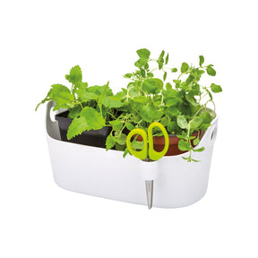 Cache-pot Brussels Herbs Station blanc ELHO - Willemse