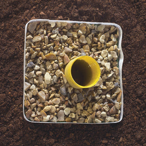 Feutre pour allées et terrasses -  - Willemse