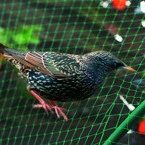 Vente Filet de protection oiseaux - 