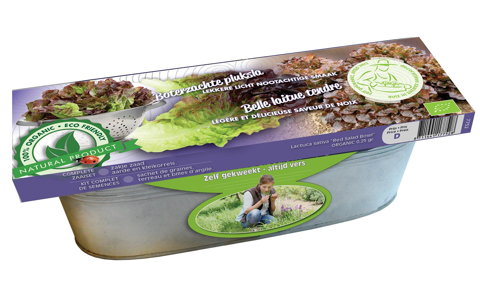 Kit Laitue Red Salad Bow en jardinière zinc Graines Biologiques - Lactuca sativa - Potager